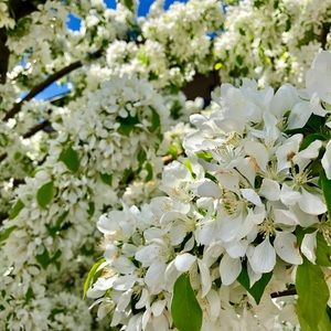 Meet your Posher, Leilani